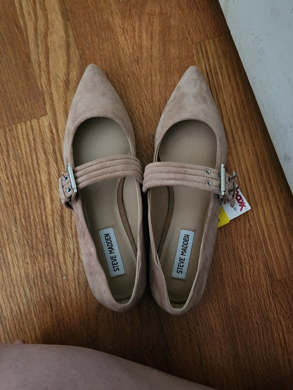 Steve Madden Blush Pointed-Toe Mary Jane Flats with Buckle Strap